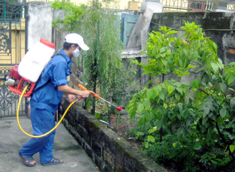 Phun thuốc diệt côn trùng tại TP Vinh Nghệ An